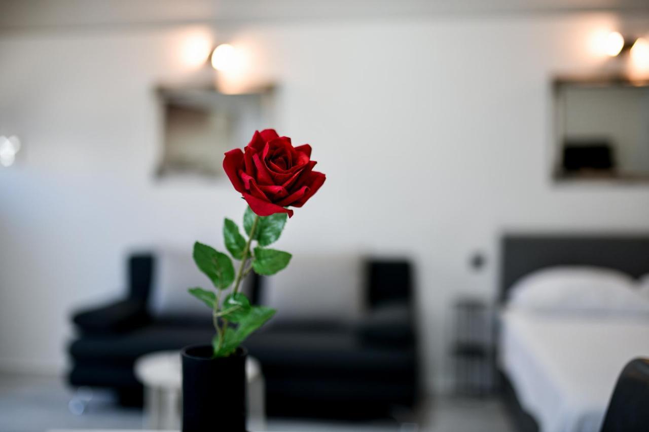 Lusy Lo Apartamento *
